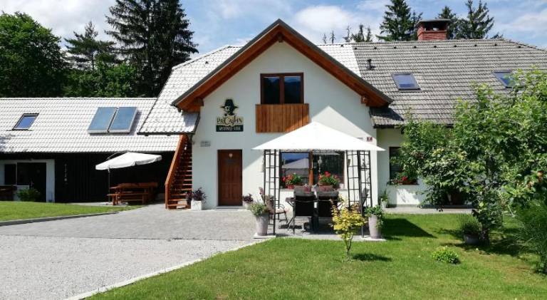 Apartment with patio, yard & BBQ in Bled