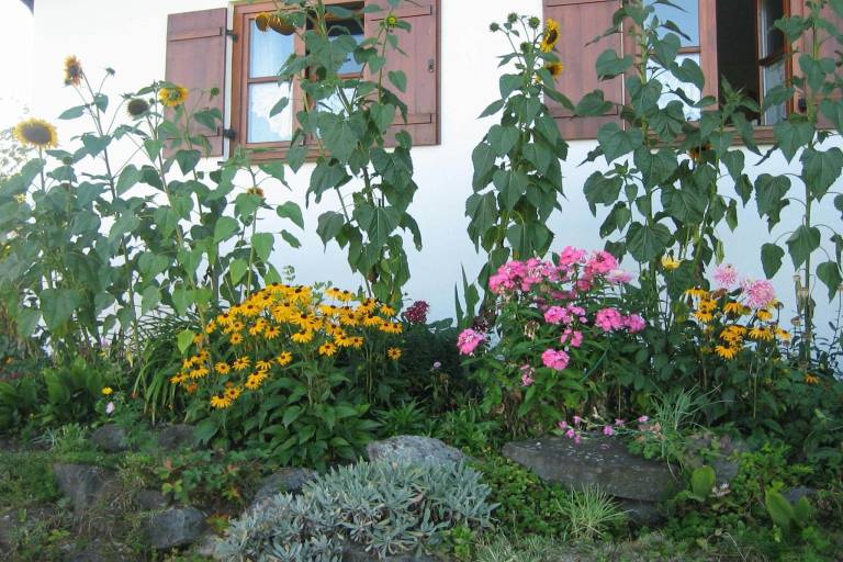 foto30