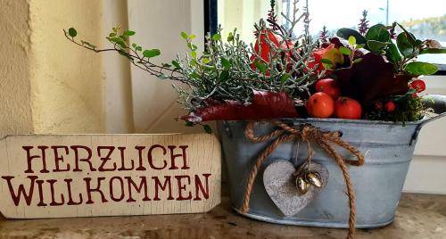 Holiday apartment with patio & barbecue in Klingenthal