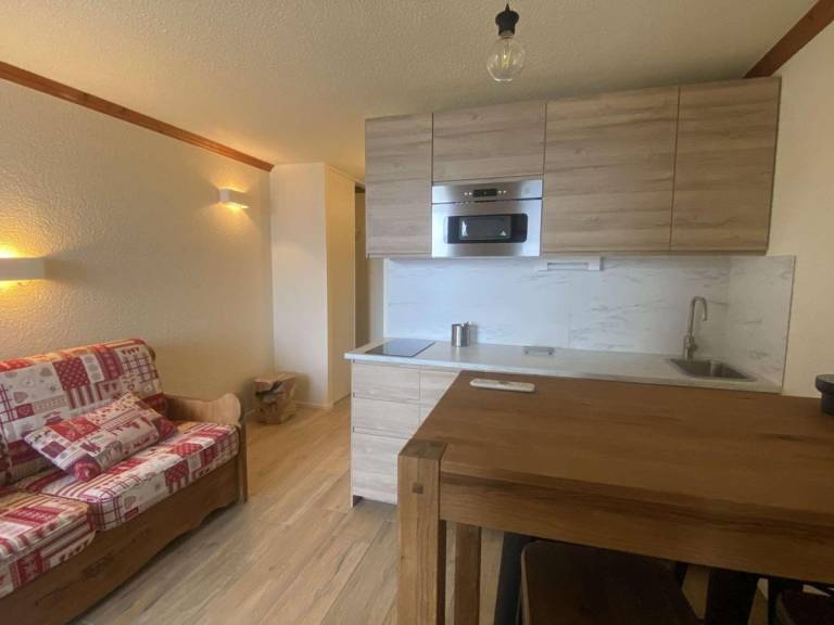 250m from shops, 3rd floor, tv, ski locker, 23m², Alpe d'Huez in Huez