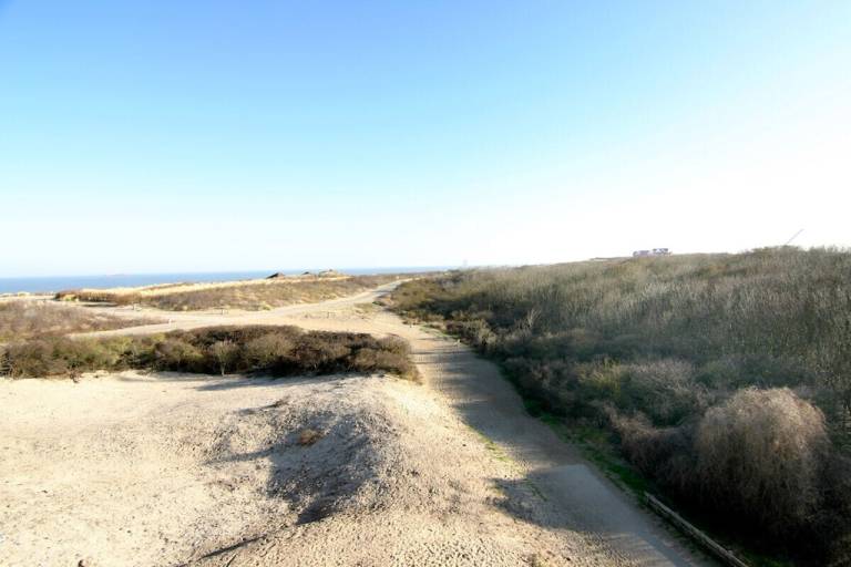 Ferienhaus in Cadzand-Bad f&uuml;r max. 2 Personen