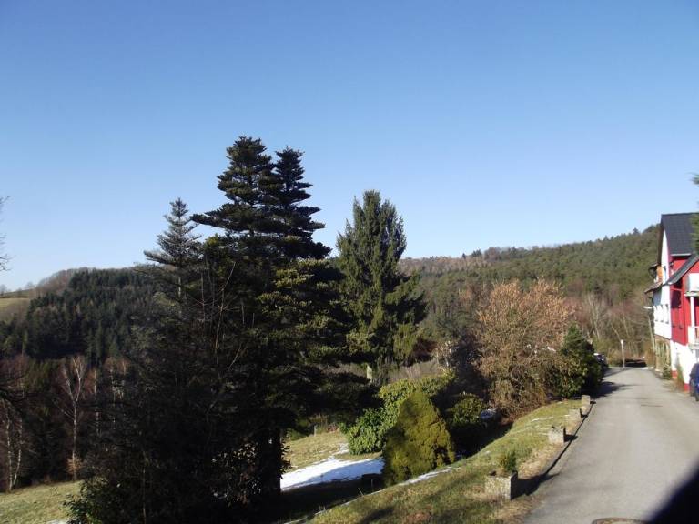 foto4