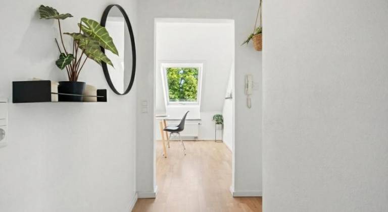 Beautiful rental apartment | Dogs allowed — photo 4