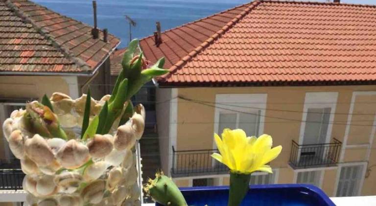Nice rental apartment with yard | Pets are welcome in Kavala