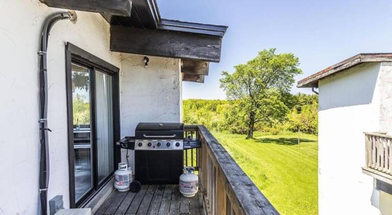 Mountain View-Backyard-Air-Conditioning-BBQ-15mins walk Blue Mountain Village — photo 3