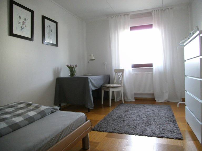 foto11