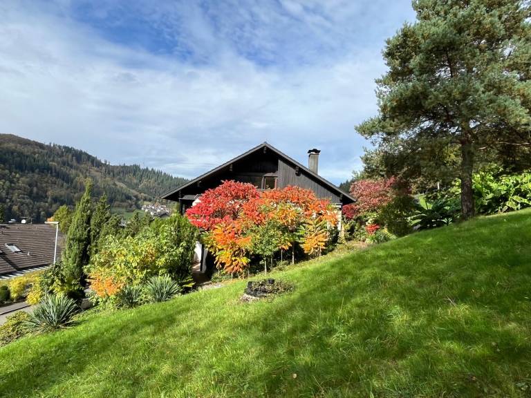foto29