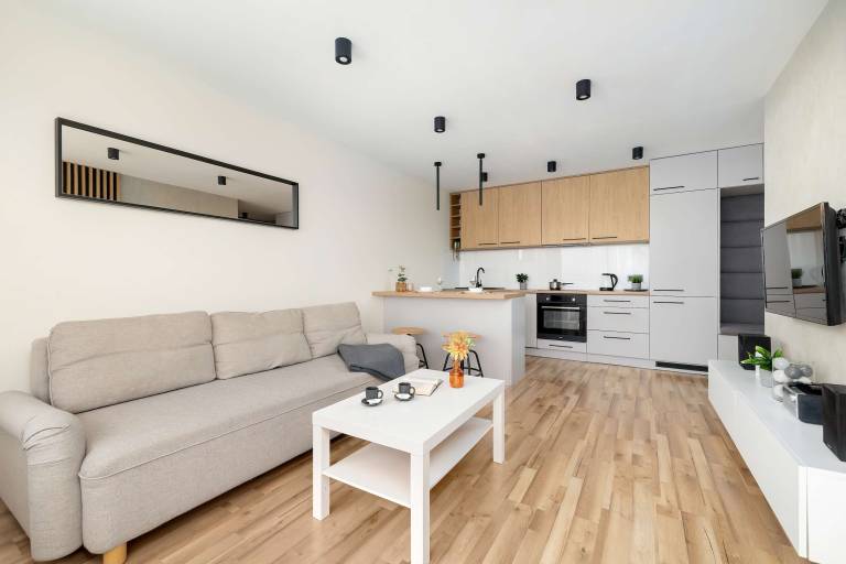 Holiday apartment with fast internet in Sosnowiec
