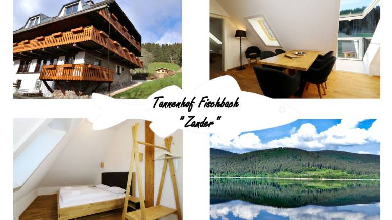 Ferienwohnung Schluchsee
