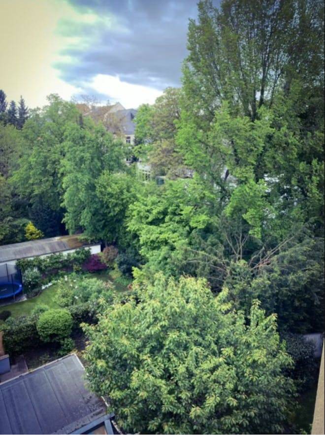 foto13