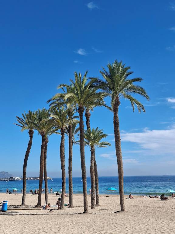 Ferienhaus Callosa d'en Sarrià