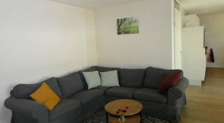 foto1