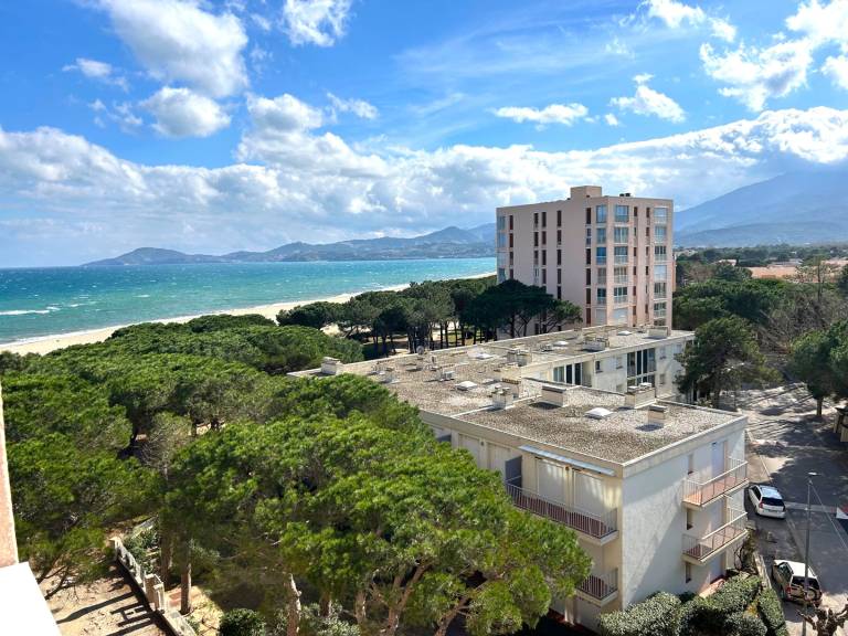 Beautiful well-equipped apartment near beach, panoramic view in Argelès-sur-Mer
