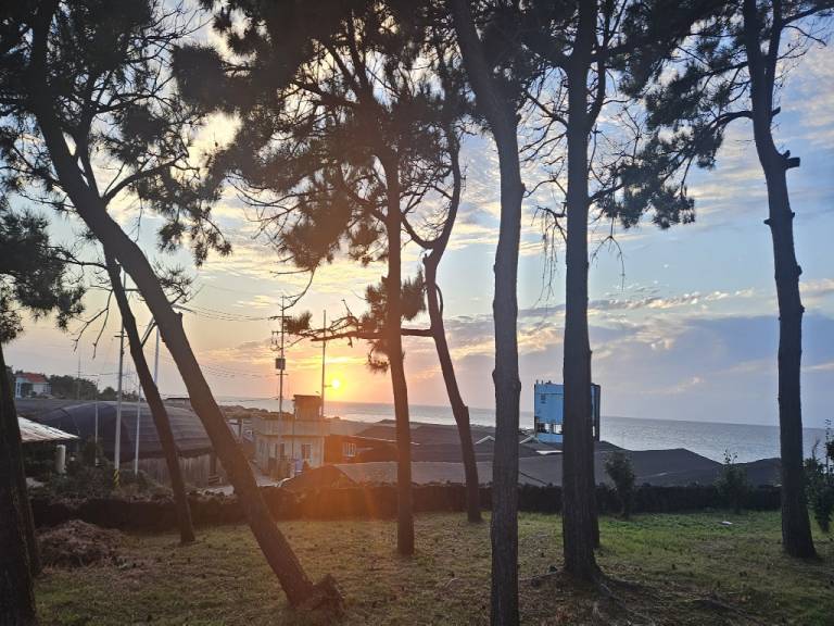 foto47