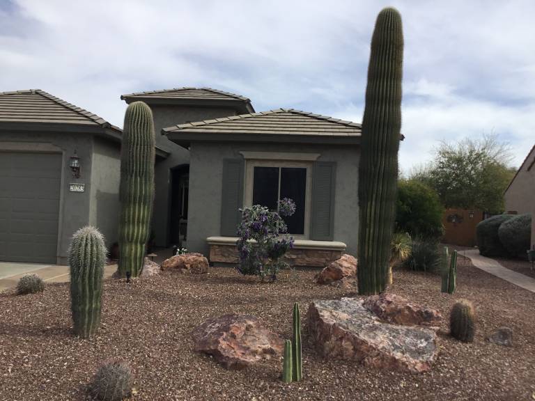 House  Festival Ranch