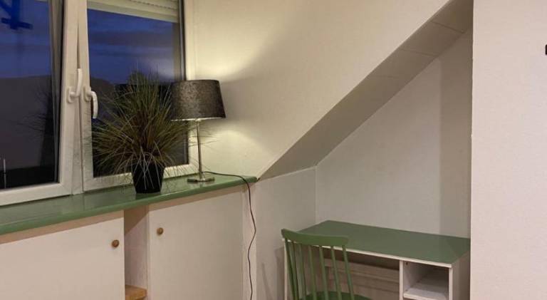 Holiday apartment | Dogs allowed — photo 3