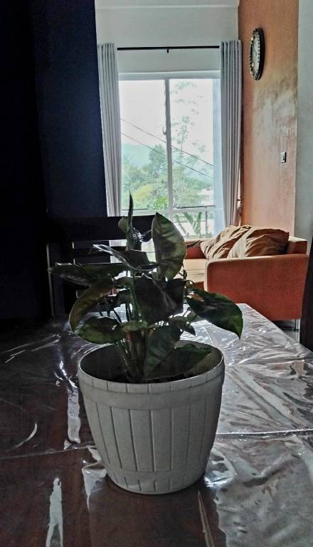 foto39