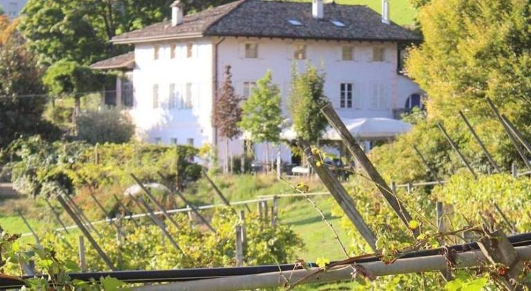 Agritur Cantina Romanese — photo 5