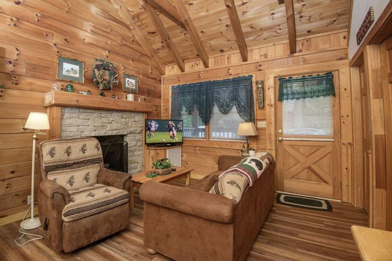 Cabin with private pool — photo 3