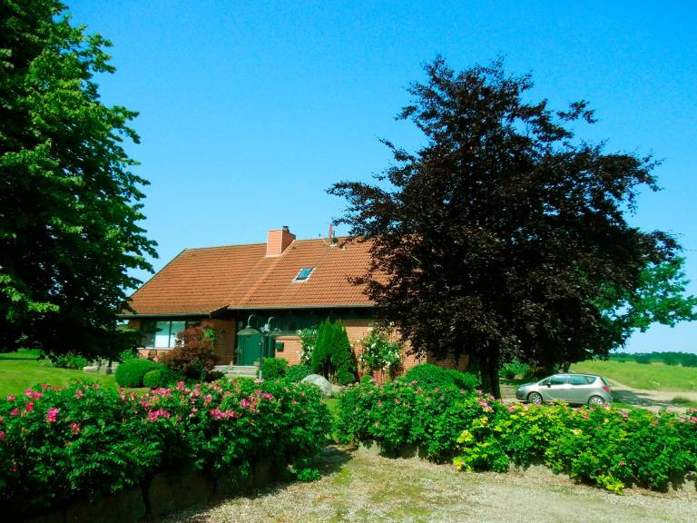 foto1