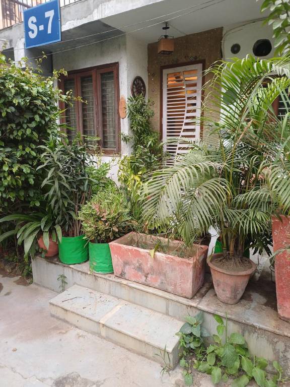 Pleasant house | Dogs allowed in New Delhi