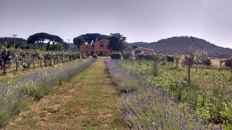 Camera privata Canale Monterano