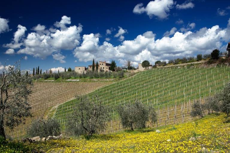 Camera privata  Gaiole In Chianti