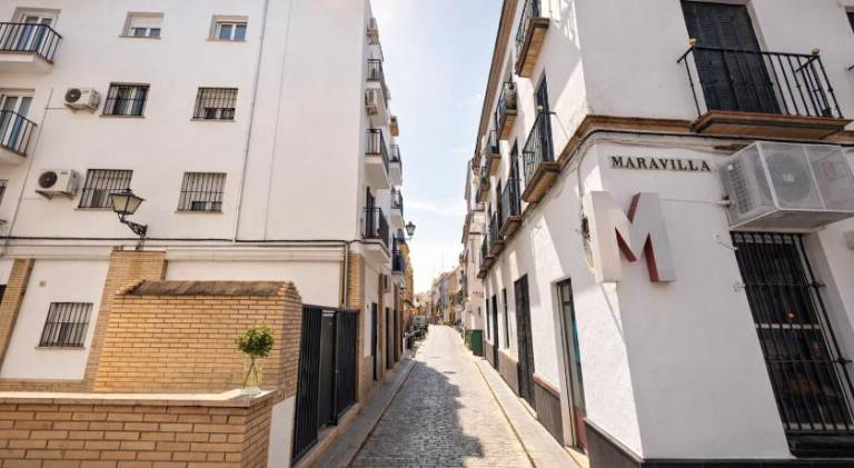 Holiday apartment | Near Metropol Parasol | Dogs allowed — photo 4