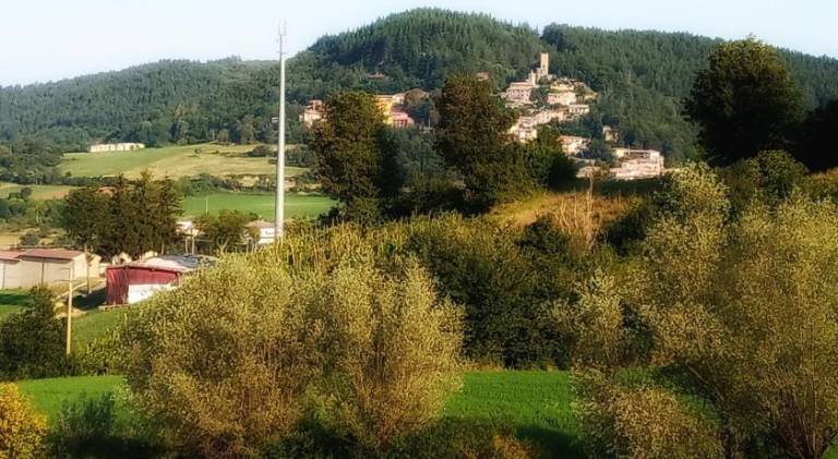 foto40