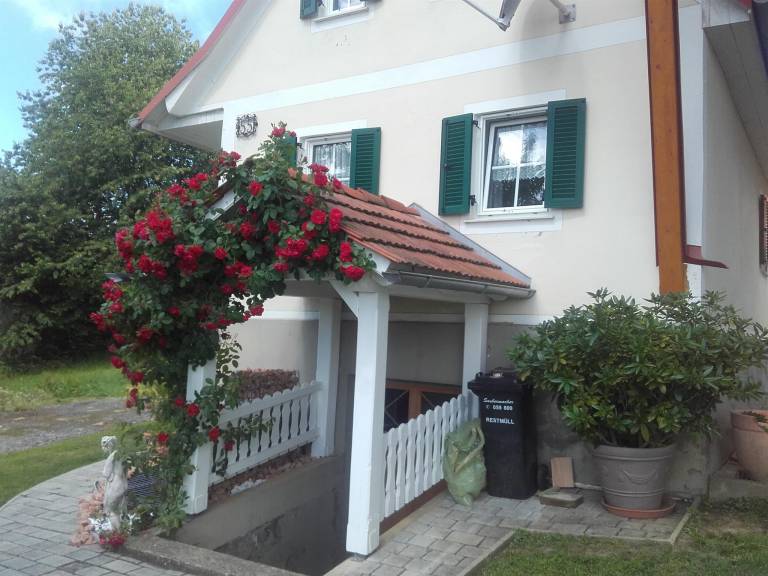 foto19