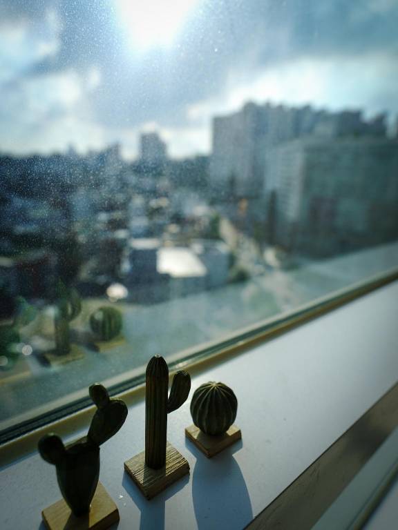 foto16