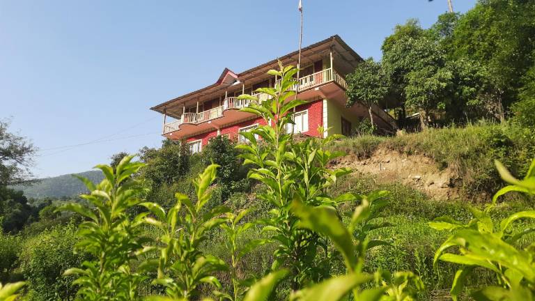 घुघुती home stay — photo 2
