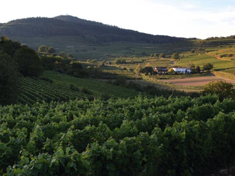 Ferienwohnung auf dem Schambachhof