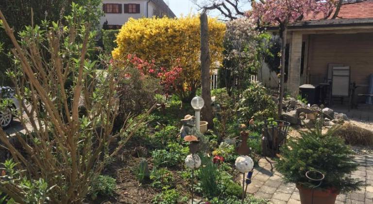 foto11