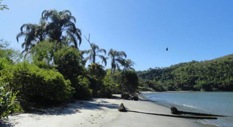 Vacation home with pool in Ubatuba