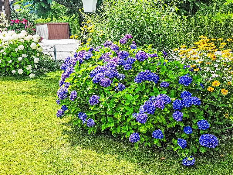 foto24