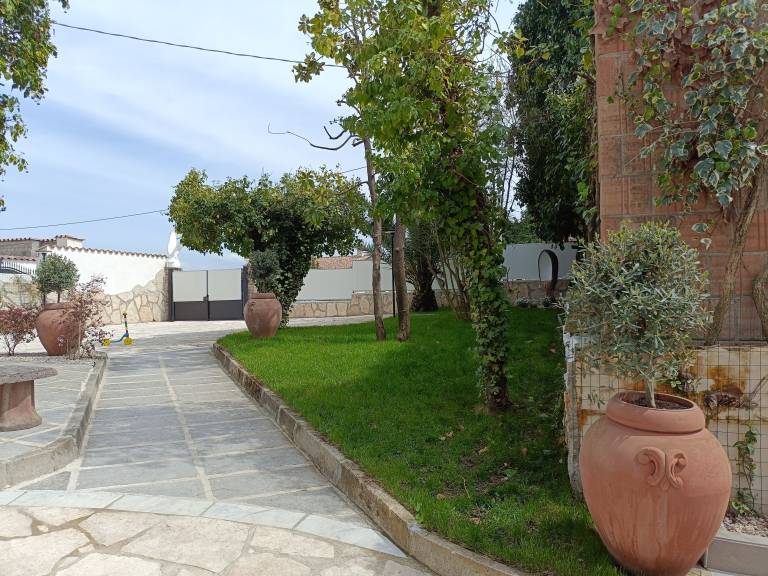 foto6