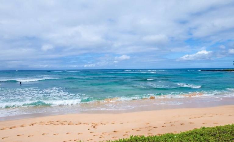 House Laie