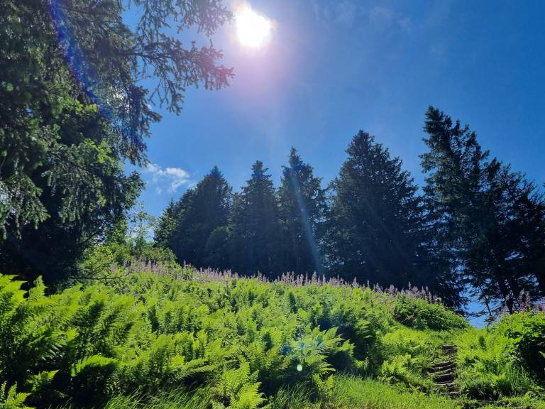 foto14