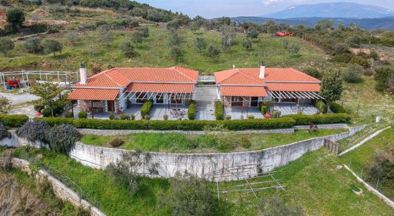 House with patio & yard in South Pelion