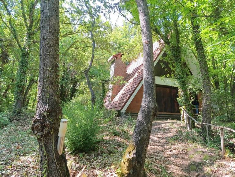 Chalet Cozzarelle