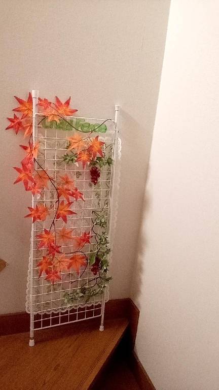 foto37