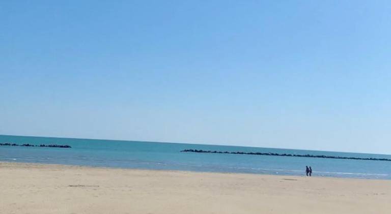 Rental apartment | Beach nearby | Pets are welcome — photo 5
