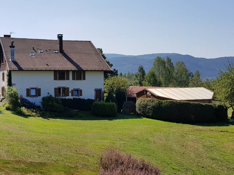 foto11