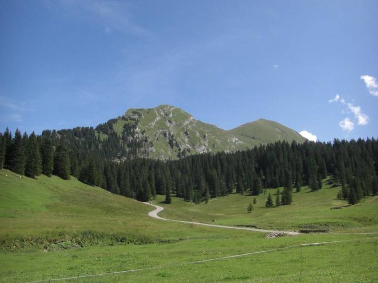 foto31