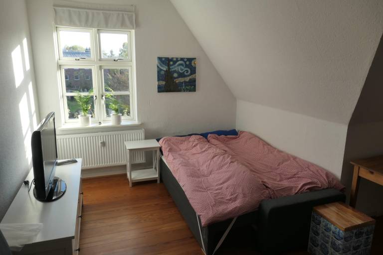 foto6