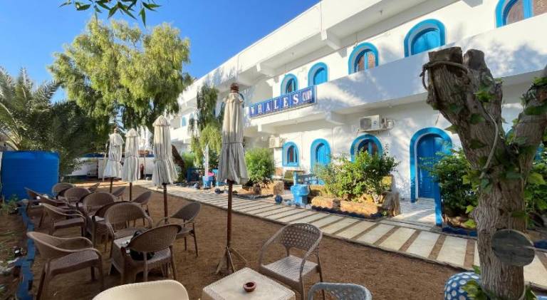 Whales camp dahab — photo 2