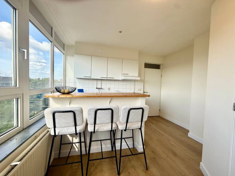 Beautiful rental apartment | Pets are welcome — photo 3