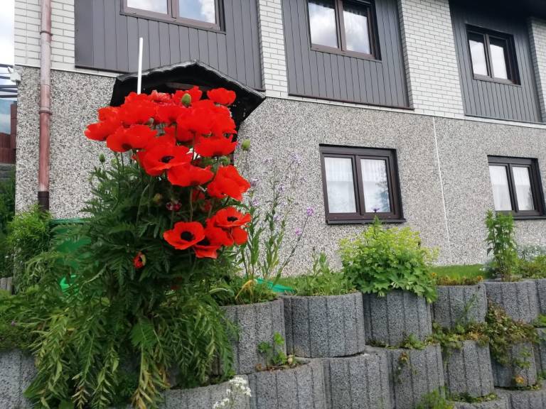 foto17
