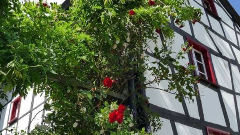 Ferienhaus Simmerath